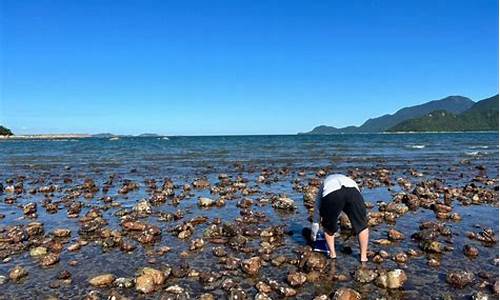 深圳海边旅游攻略赶海的地方_深圳海边旅游攻略赶海的地方有哪些