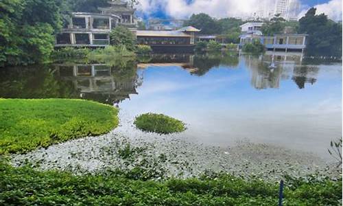 荔湾湖公园进去要门票吗_荔湾湖公园进去要门票吗现在