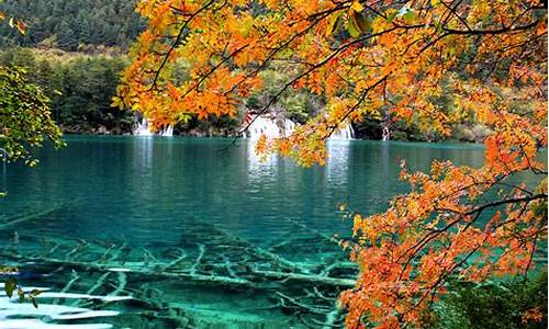 九寨沟个人旅游攻略_九寨沟个人旅游攻略一日游