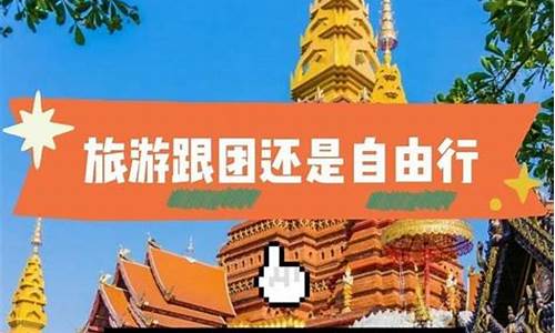 旅游自由行和报团哪个便宜_旅游报团和自由行比哪个好